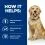Hill's Prescription Diet Canine j/d Reduced Calorie 2 x 12kg