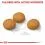 ROYAL CANIN MAXI Dermacomfort 2 x 12 kg