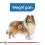 ROYAL CANIN MAXI Light Weight Care 2 x 12 kg