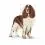 ROYAL CANIN MEDIUM Light Weight Care 2 x 12 kg