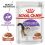 Royal Canin Sterilised Gravy szószos tasak ivartalanított macskáknak 24 x 85 g