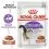 Royal Canin Sterilised Gravy sz&oacute;szos tasak ivartalan&iacute;tott macsk&aacute;knak 24 x 85 g