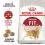 Royal Canin FIT 32 - t&aacute;pl&aacute;l&eacute;k felnőtt macsk&aacute;nak 10 kg