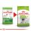 ROYAL CANIN X-SMALL ADULT 8+ 1,5kg
