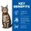 Hill's Science Plan Feline Adult Lamb & Rice 10 kg