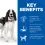 Hill's Science Plan Canine Adult Medium Chicken 14 kg