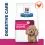 Hill's Prescription Diet Canine Gastrointestinal Biome Mini Chicken 1 kg