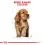 ROYAL CANIN COCKER JUNIOR - 3 kg