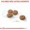 ROYAL CANIN MINI STERILISED ADULT 8 kg