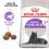 ROYAL CANIN STERILISED +7  1,5kg