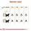 ROYAL CANIN HAIR &eacute;s SKIN 33 - 0,4kg