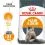 Royal Canin HAIR & SKIN CARE 2 kg