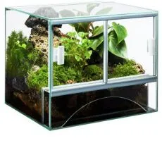 Terr&aacute;rium