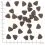 WOLFSBLUT Western Cape 2 x 12,5 kg