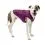 Kurgo Loft dzseki kuty&aacute;knak - Deep Violet/Grey, M