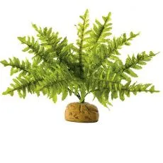 Terr&aacute;riumi n&ouml;v&eacute;nyek