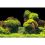 Háttér akváriumhoz ROCK/PLANTS L - 100 x 50 cm