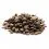 ESSENTIALFOODS Older 10 kg