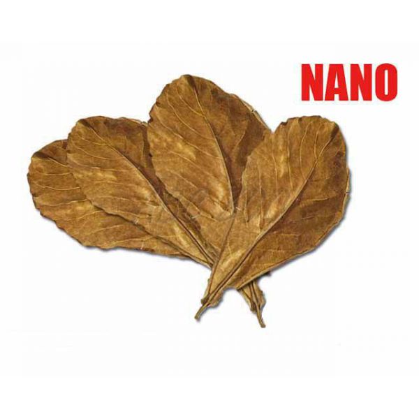 Égertoboz - szárított levelek NANO, 12db