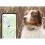 Tractive GPS DOG XL - Kutyanyomk&ouml;vető &eacute;s aktivit&aacute;sk&ouml;vető - Z&ouml;ld