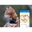 Tractive GPS CAT Mini + nyakörv - a macska tartózkodási helyének és aktivitásának nyomon követése - sötétkék színű