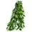 Ficus silk medium -akv&aacute;riumi n&ouml;v&eacute;ny, 55cm