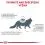 Royal Canin VHN Cat Hypoallergenic 400g