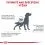 Royal Canin VHN Dog Hypoallergenic Moderate Calorie 14 kg