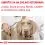 Royal Canin VHN Calm Small Dog 4 kg