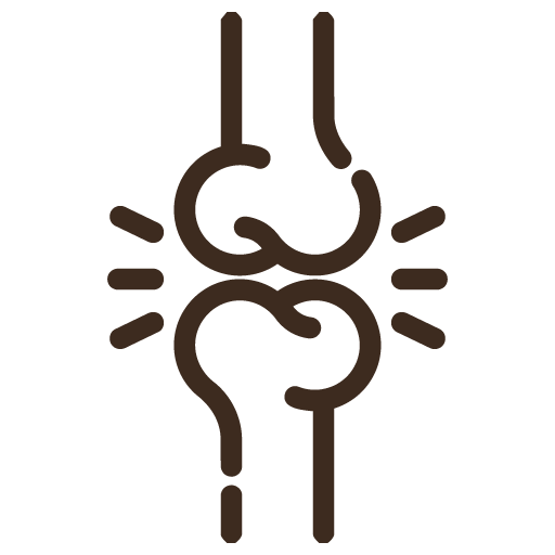 csont.png