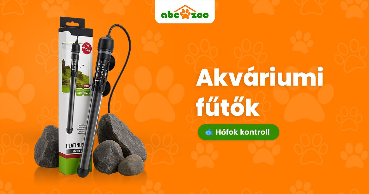 Meleg a v&iacute;z alatt: mi&eacute;rt kulcsfontoss&aacute;g&uacute; az akv&aacute;riumi fűtő az akv&aacute;riumodban?