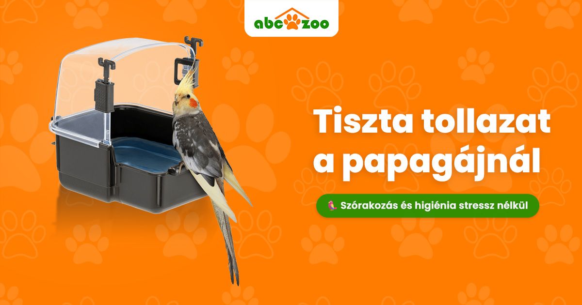 Hogyan fürdessük helyesen a papagájt stressz nélkül? 4 egyszerű és bevált módszer