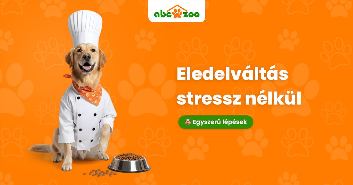 Hogyan váltsunk zökkenőmentesen új eledelre kutyánál vagy macskánál?