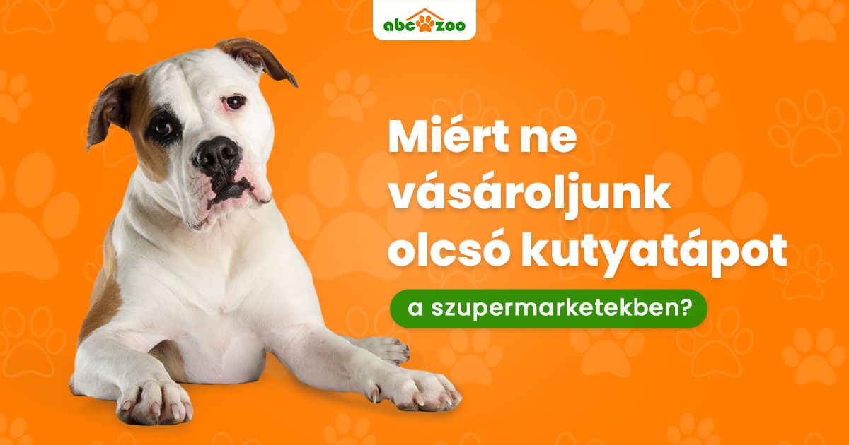 Miért ne vásároljunk olcsó kutyatápot a szupermarketekben?