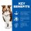 Hill's Science Plan Canine Mature Adult 7+ Medium Lamb & Rice 14kg + 4 kutyakonzervek GR&Aacute;TISZ