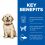 Hill's Science Plan Canine Puppy Large Breed Chicken 14,5kg - S&Eacute;R&Uuml;LT CSOMAGOL&Aacute;S