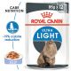 Royal Canin Ultra Light in Jelly 12 x 85g - alutasak