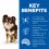 Hill's Science Plan Canine Adult Light Small & Mini Chicken 6 kg