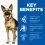 Hill's Science Plan Canine Mature Adult 6+ Large Breed Chicken 18kg