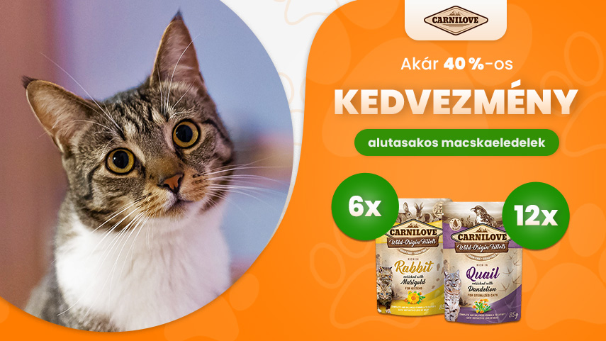 Carnilove - akár 40% kedvezmény