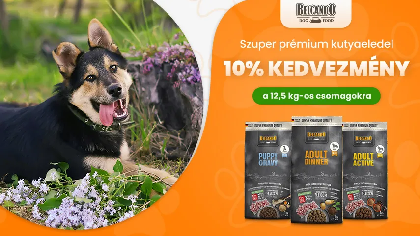 Belcando - 10% kedvezmény