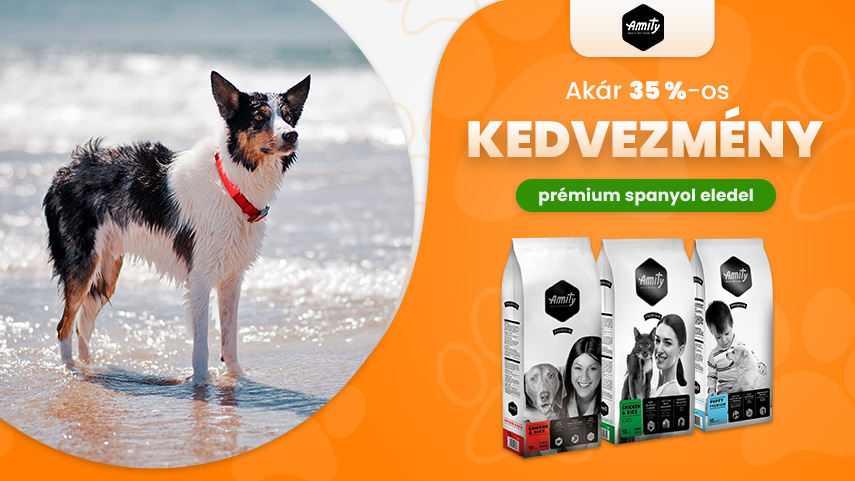 Amity - akár 35% kedvezmény