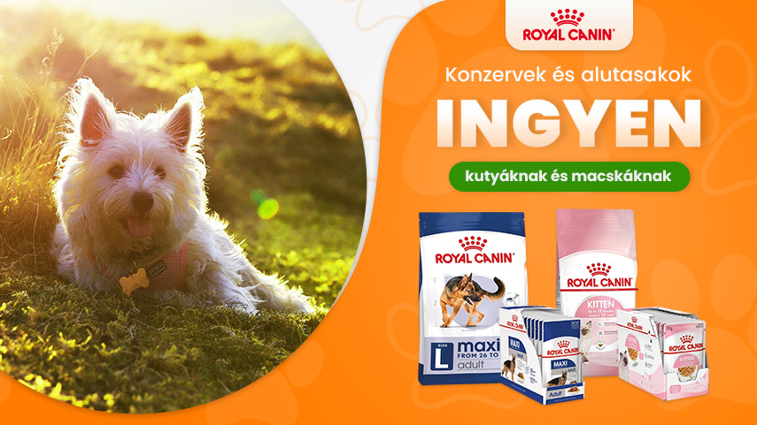 Royal Canin tasakok és konzervek ingyen