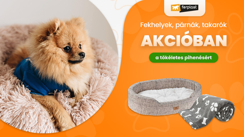 Ferplast fekhelyek akcióban
