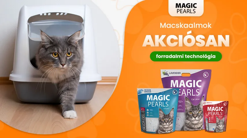 Magic Pearls akció