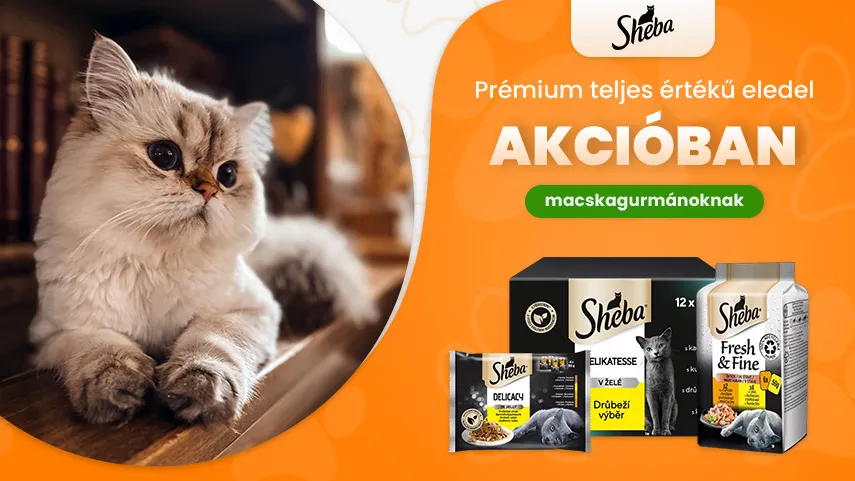 Sheba akció