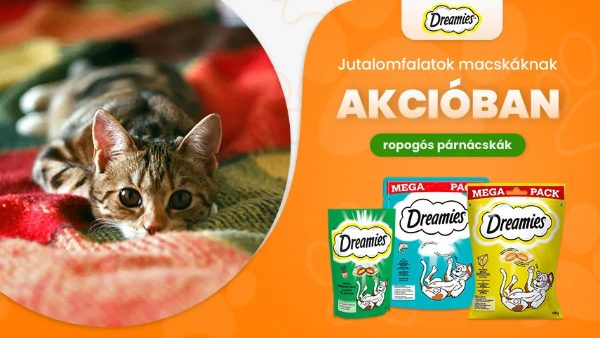 Dreamies akcióban