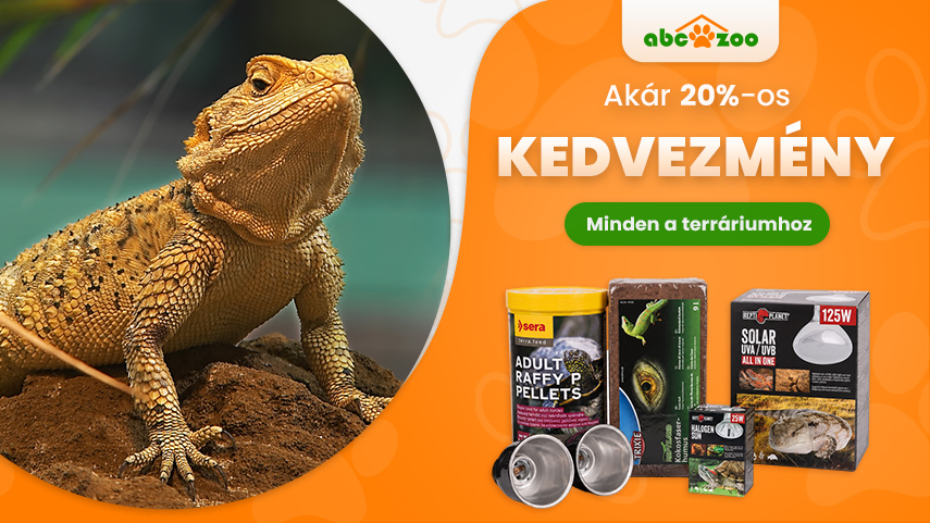 Terrarisztika - akár 20% kedvezmény