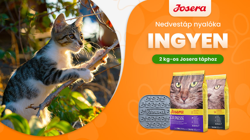 Josera lick mat grátisz
