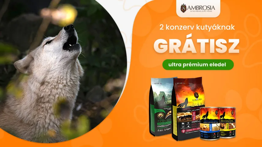 Ambrosia 2 konzerv grátisz